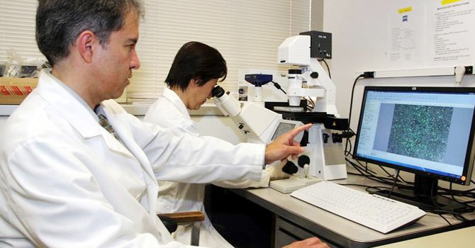 Buscan convencer sobre necesidad de seguro salud asequible para indocumentado