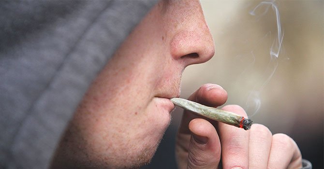 Estudio muestra impacto socioeconómico de consumo prolongado de marihuana