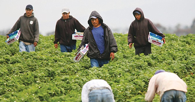 “Los sumiría en pobreza” eliminar a residentes indocumentados de los hogares con estatus mixto, afirman