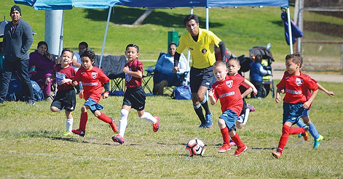 ¡Guerreros del Soccer! niños de apenas 6 años dieron grandiosos partidos de fútbol en la Copa Presidentes