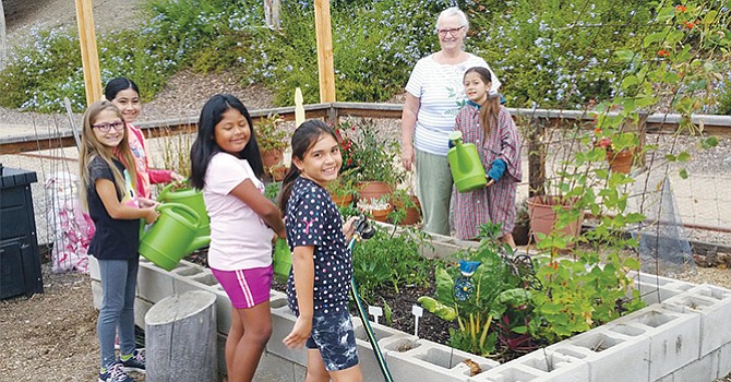 Jardines Escolares Comunitarios han proliferado en la mayoría de las escuelas de CVESD; algunas han rebasado expectativas