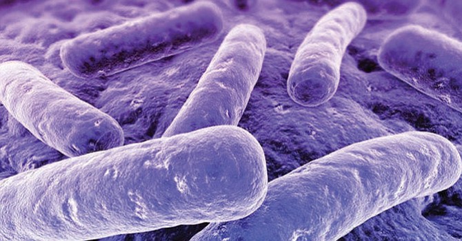 Peligrosa bacteria se transmite sexualmente y es inmune a los antibióticos
