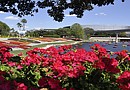 Mientras que todos se divierten en los parques temáticos, Orlando cuenta con una amplia oferta que incluye desde restaurantes, museos, buceo en arrecifes de coral, compras con descuento y hasta una merecida sesión relajante en el Spa