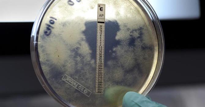 Meningitis: 297 casos y 24 muertes
