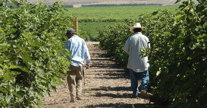 Los inmigrantes mexicanos son los peor pagados