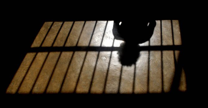 Felicitan al DHS por proteger a los indocumentados