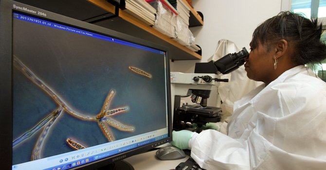 Segunda muerte en MD por brote de meningitis