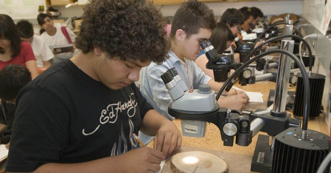 Estos inmigrantes en Florida querían una mejor educación, pero aseguran que no los dejaron terminar la secundaria