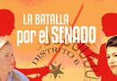 De los ocho candidatos que buscan ocupar el curul del fallecido Mario Gallegos, dos tienen mayores opciones de ganar los comicios por el Distrito 6. Carol Alvarado y Sylvia García han invertido tiempo y dinero en una lucha encarnizada por una zona del estado marcada por una gran apatía electoral. POCO COMÚN