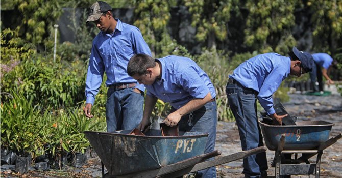 Honduras: impulsan la agricultura entre los jóvenes