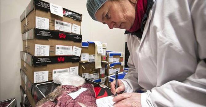 Polémica por lasaña con carne de caballo en Europa