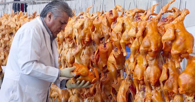 Brote de gripe aviar en México