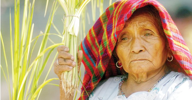 Domingo de Ramos en el área