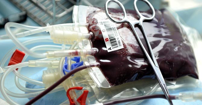Extraño record: dona 455 litros de sangre