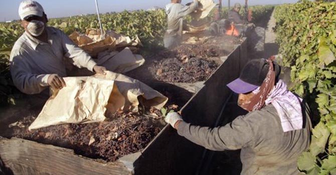 Otorgan más tiempo de visa a trabajadores temporales