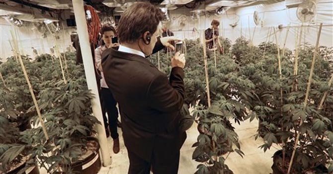 México y Uruguay exploran marihuana legal en EE.UU.