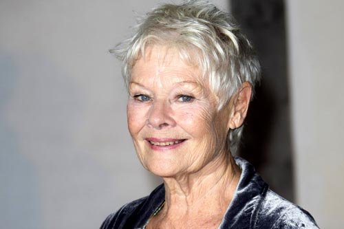 Judi Dench, nominada como Mejor Actriz por "Philomena".