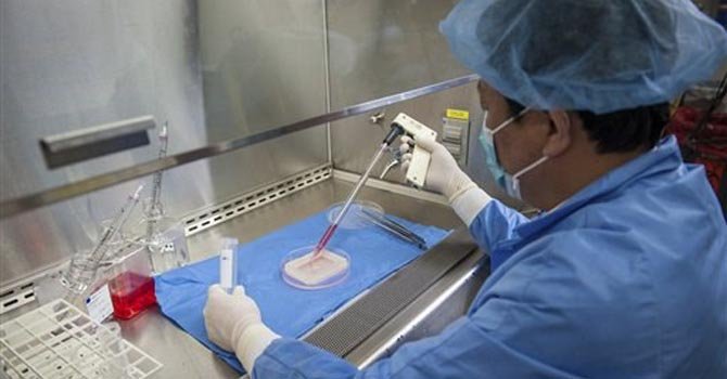 Crean vaginas artificiales en laboratorio