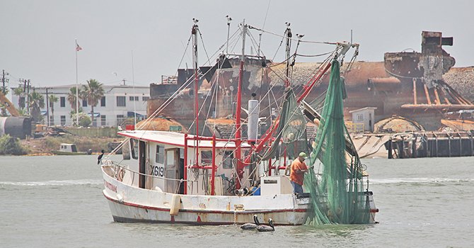 La pesca, la diversión familiar, los paseos en bicicleta y patines son parte de los placeres que se disfrutan en la isla. Los paseantes y amantes del mar tienen la oportunidad de bañarse y surfear en aguas del Golfo de México.