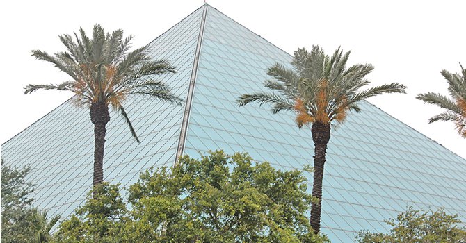 Hoteles para todos los bolsillos y presupuestos ofrecen sus servicios. Uno de los más populares es el Moody Gardens, que cuenta con amplio jardín botánico popularmente conocido por sus pirámides con plantas, árboles y jardines naturales además del inmenso acuario.