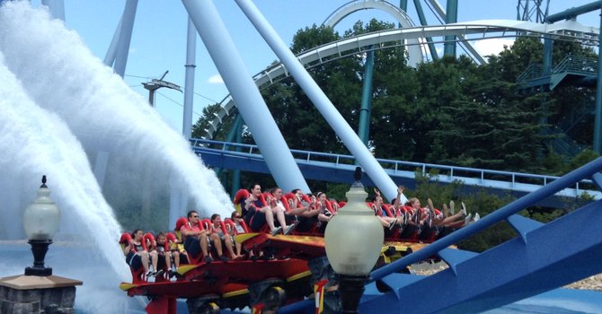 En Busch Gardens la diversión no tiene límites