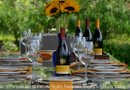 Cena al Aire Libre