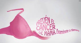 ‘Big Pink Bus’ Mamografías Gratuitas