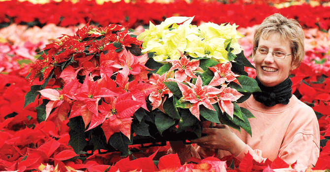 Decorar el hogar en las navidades