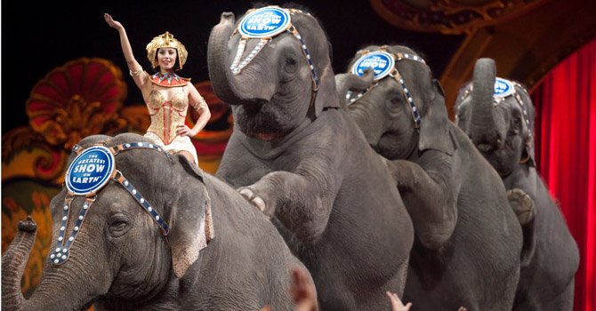 Ringling Brothers no tendrán elefantes en sus shows