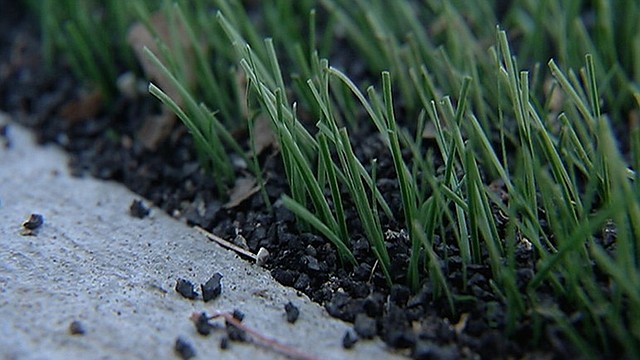 zapatos para canchas sinteticas