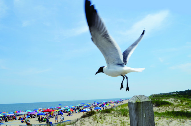 El verano es más largo en Delaware