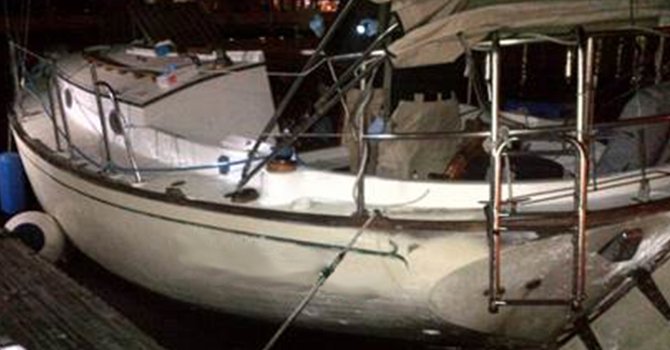 Arrestan a 15, entre indocumentados y traficantes, en playas de Harbor Island