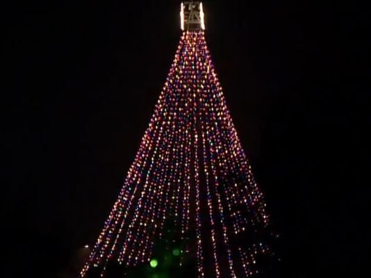 Austin se viste de espíritu navideño al encender el árbol de Navidad en Zilker Park