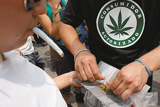 Analizan la regulación  del uso de la marihuana