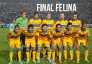 Pumas llegará a una final, que no disputaba desde el Clausura 2011, y en la que se medirá ante Tigres.