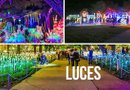 Para impregnarse del espíritu de esta época festiva nada mejor que realizar un recorrido para apreciar las luces navideñas que decoran la ciudad.