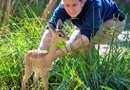 Foto: Zoológico de Houston
