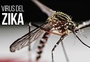 La OMS estima que el virus puede infectar hasta a 4 millones de personas en toda América./ Foto: EFE