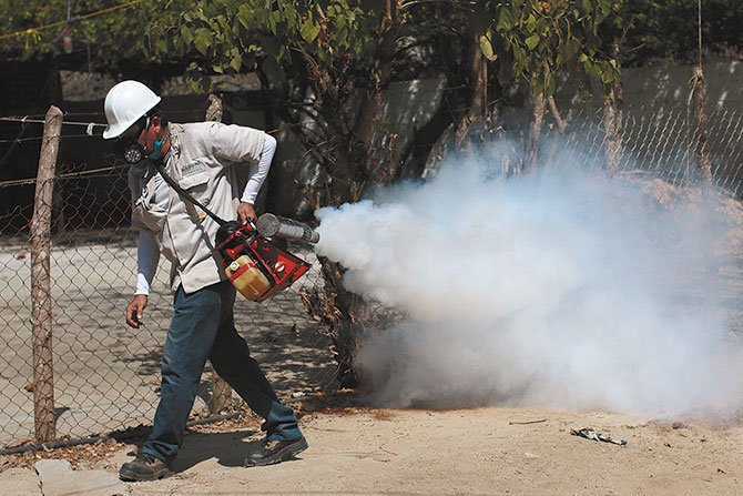 Combate eficaz al Zika
