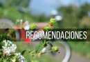 Consejos de seguridad para las vacaciones de primavera en Texas./Foto:Pixabay