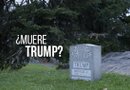 Fotografías de la tumba comenzaron a aparecer en redes sociales el domingo. Tenía el nombre de Trump, con su año de nacimiento y la fecha de defunción en blanco./Foto:EFE