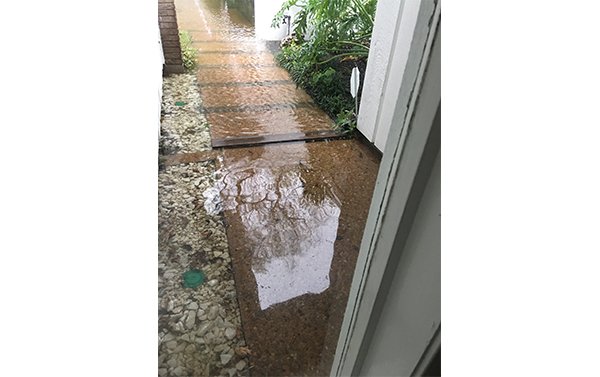 59 cerca de Brays Bayou./Foto: Karina Riutort