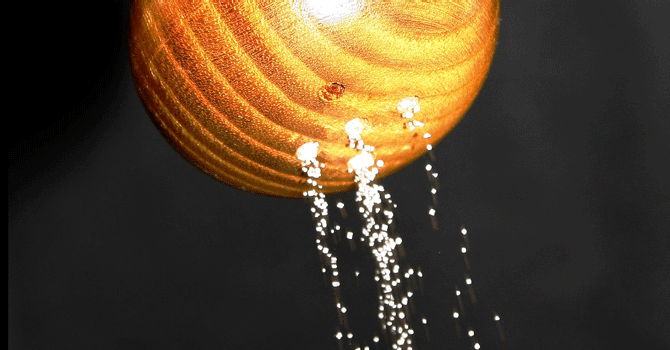 Photo detail