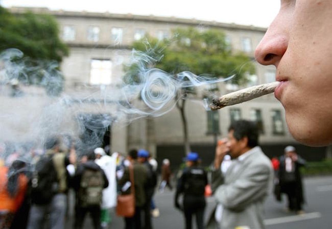 Senado mexicano aprueba regulación para el uso medicinal de la marihuana