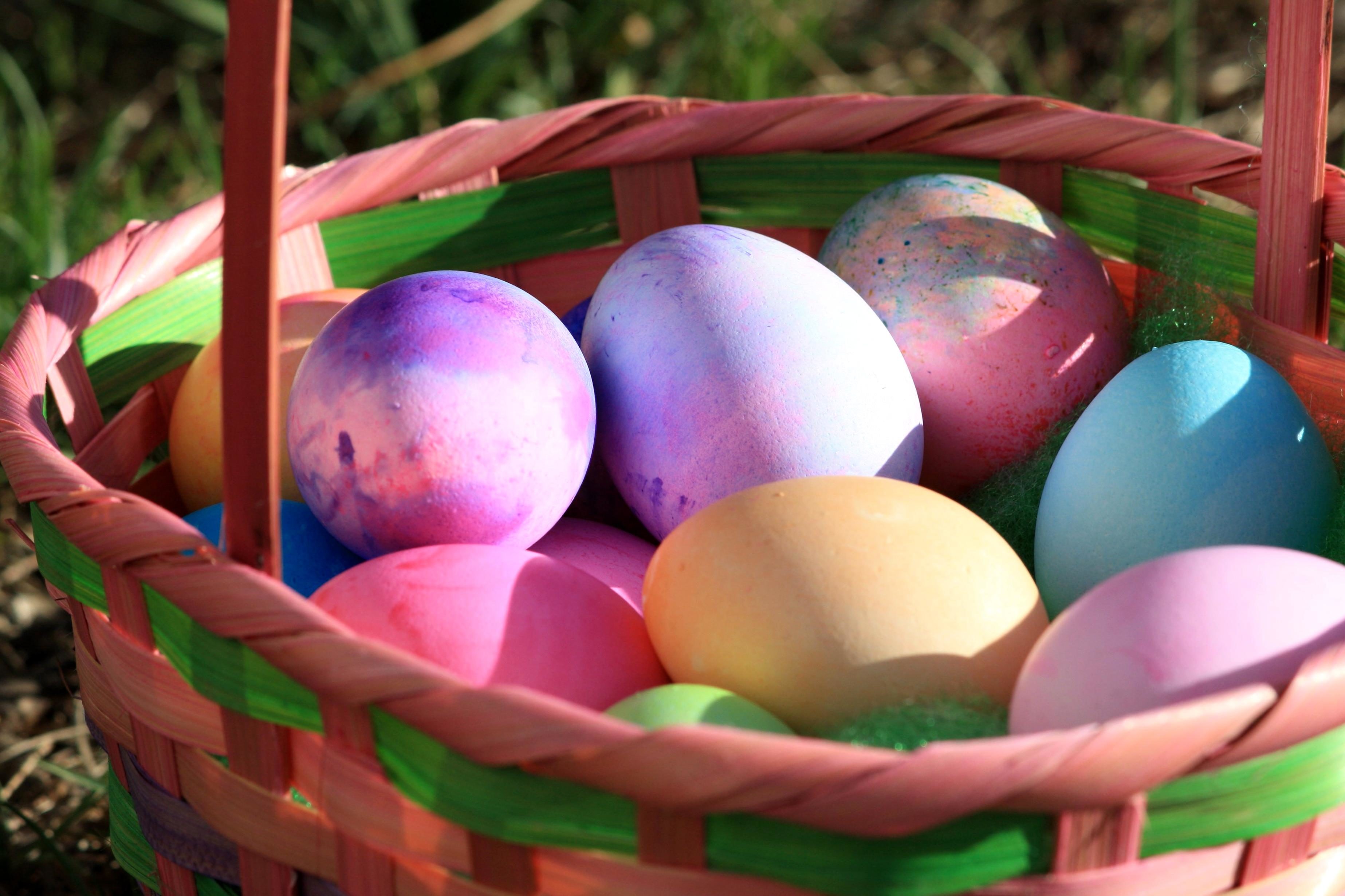 PARA NI OS Recolecci n De Huevos De Pascua En Faneuil Hall Boston s 