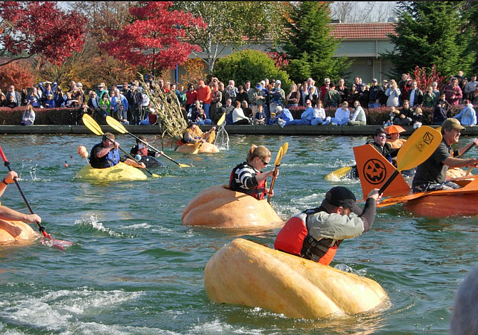 Siete divertidos festivales de otoño en Nueva Inglaterra