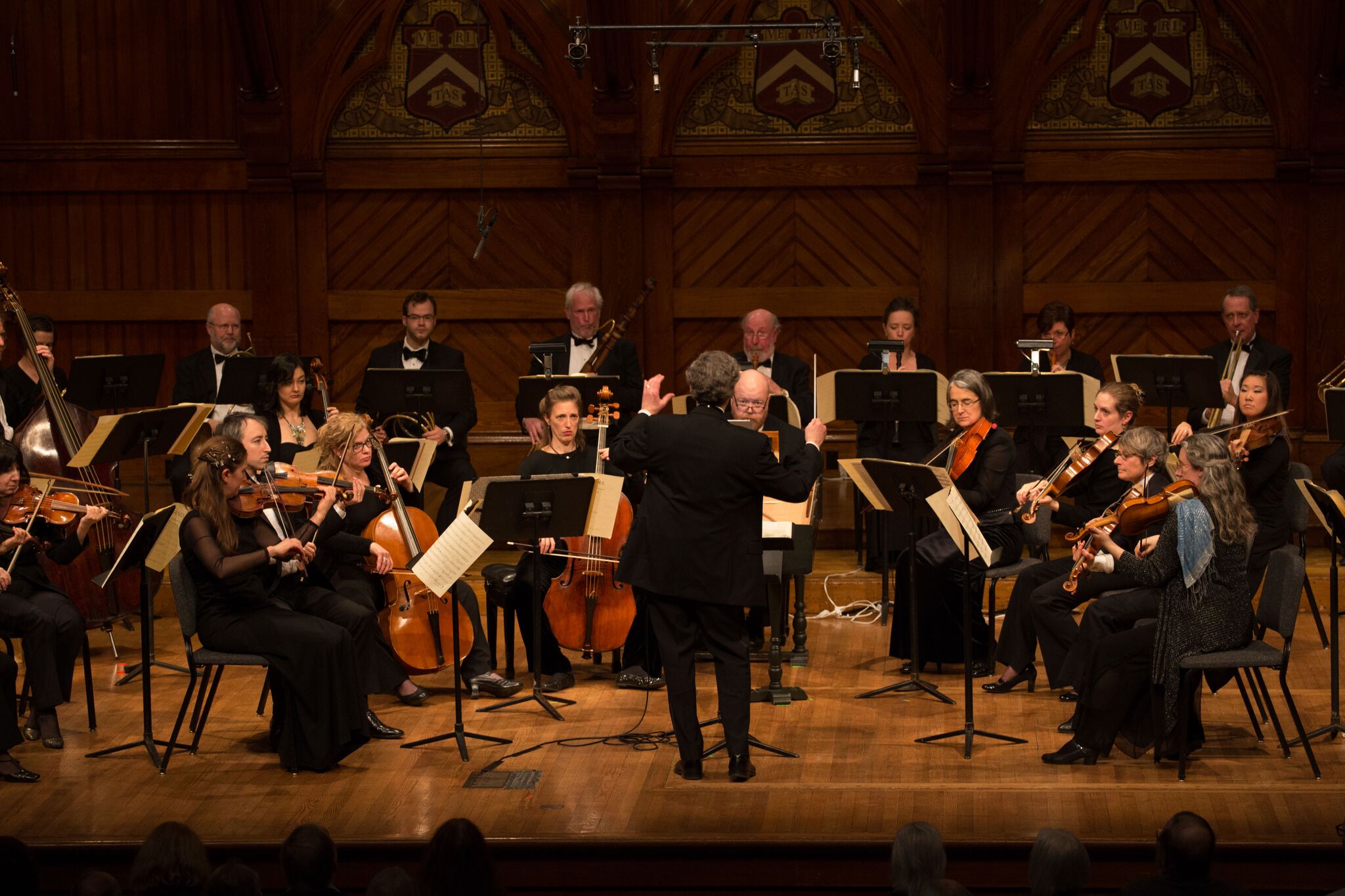 Imagenes de musica clasica,Conciertos De Musica Clasica Para Recibir El Ano Nuevo Con La Mejor Energia Boston S Online Hispanic munity El Planeta