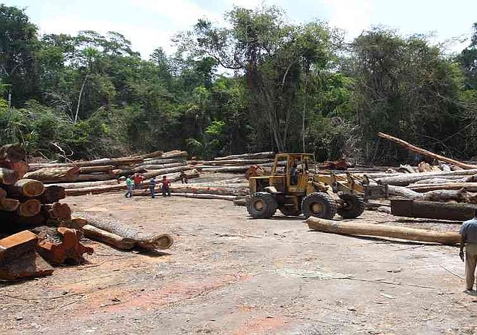 Colombia perdió 219 mil 973 hectáreas de bosques en 2017, según el Ministro de Ambiente y Desarrollo Sostenible