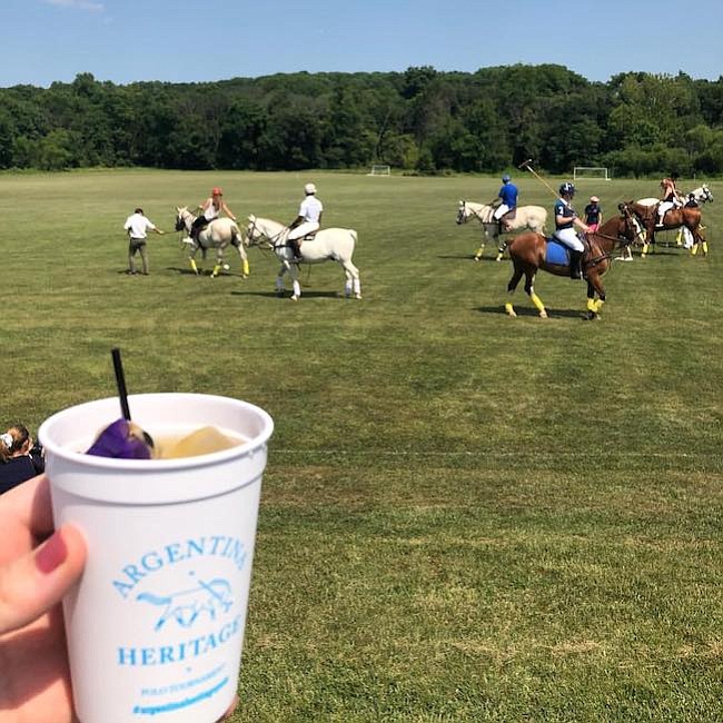 Beneficencia. Desarrollo del torneo de polo, realizado en Maryland, a favor del los de más de 400 mil niños que cada año pasan por el Hospital Garrahan, en Argentina.