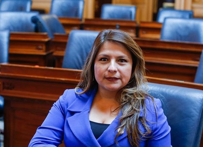 Líder peruana en Virginia celebra con nostalgia y compromiso